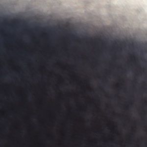 Meet your Posher, Maggie